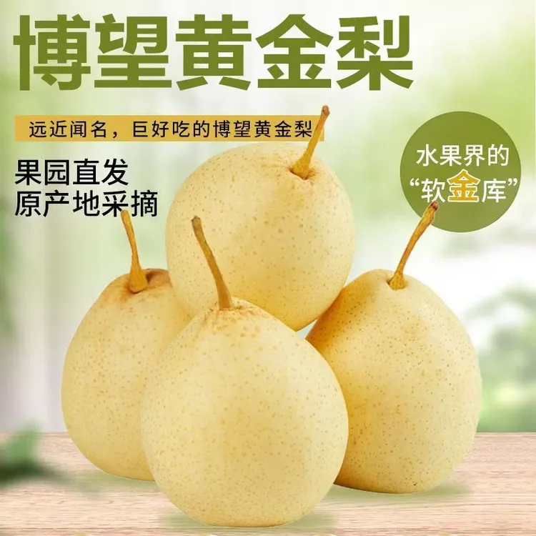 河南产地新鲜黄金梨梨当季水果酸甜爽口梨子