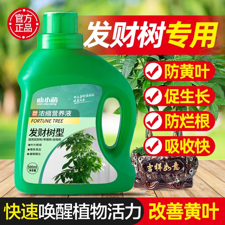 发财树营养液肥料专用肥植物通用室内专用花肥家用盆栽治黄叶烂根