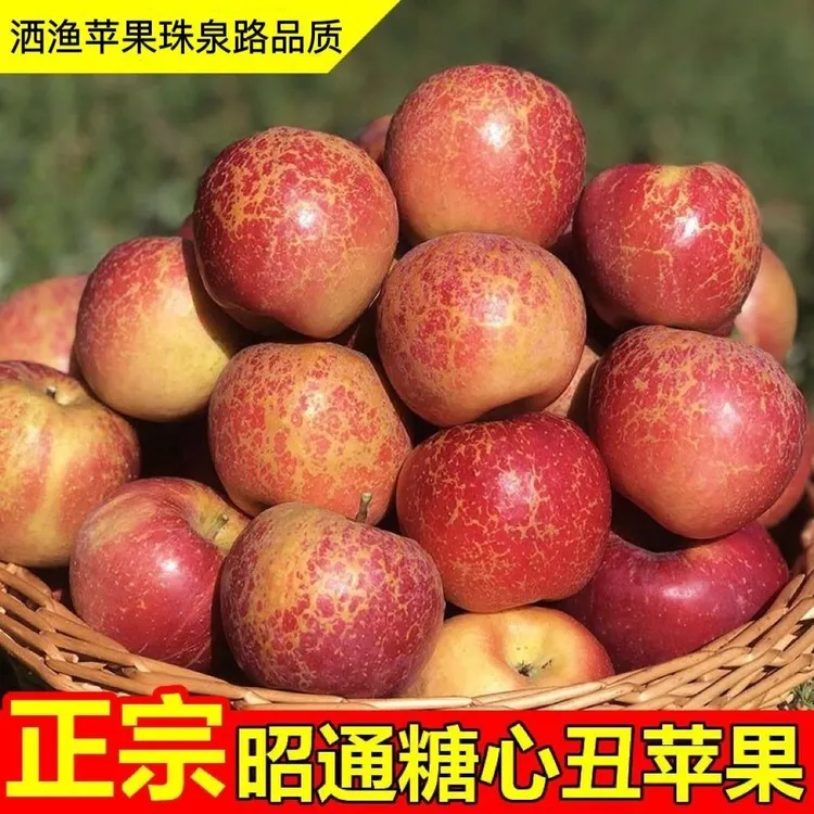 2025年云南昭通丑苹果新鲜昭通市冰糖心红露富士苹果水果当季整箱商品图