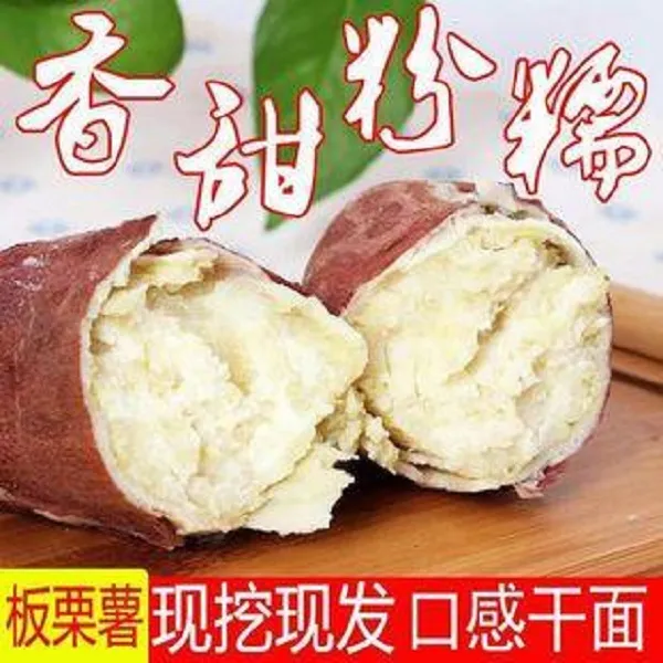 新鲜现挖沙地白心板栗红薯粉面香甜老品种粗粮