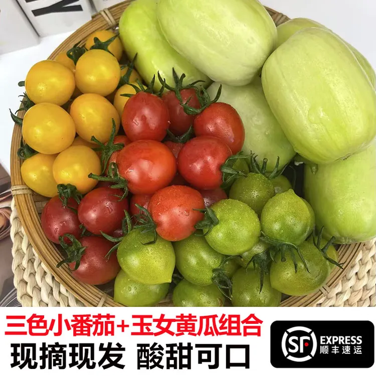 3色小番茄+水果小黄瓜彩色小西红柿拇指小黄瓜新鲜水果现摘现发