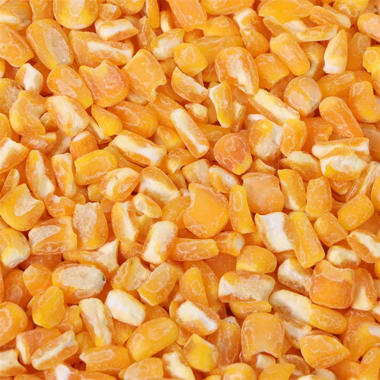 沂蒙农民自种玉米碴子