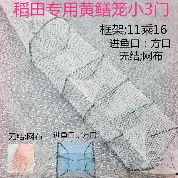 白色无结方口11*16黄鳝泥鳅笼稻田用加密网眼结实耐用