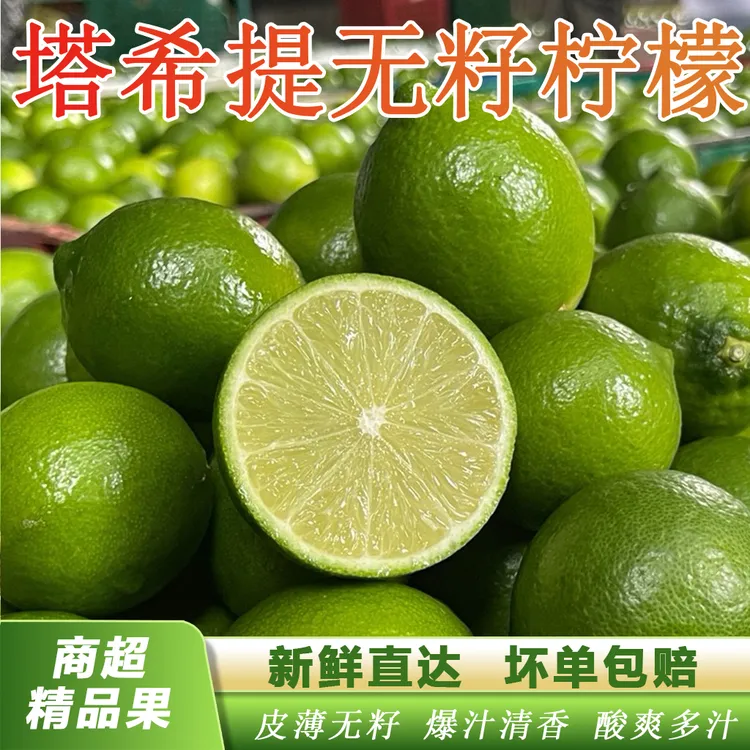 正宗塔西提无籽柠檬新鲜应季水果青柠檬3/5斤包邮果饮泡水调味品