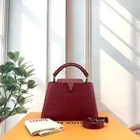 95新  小野专属/95新/路易威登/单肩包/DP7215