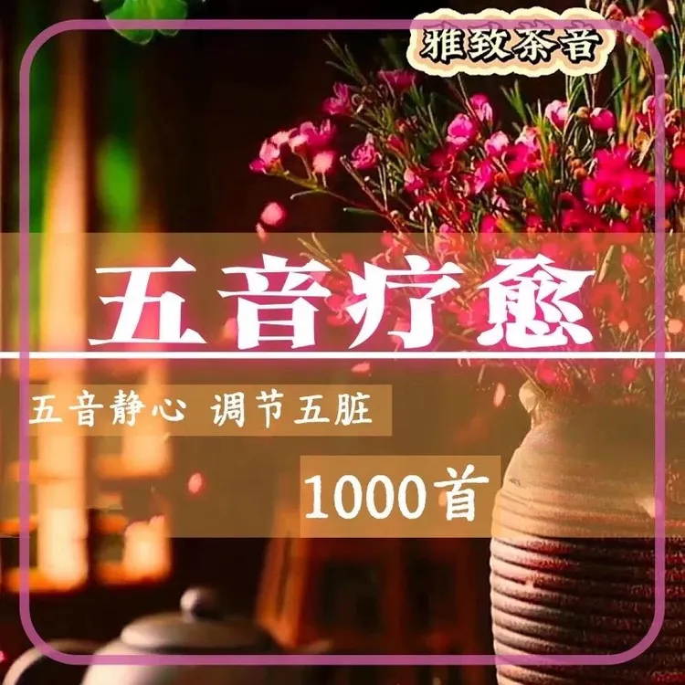 养生五音疗法静心养生缓解压力轻音乐身心舒缓五音疗愈U盘