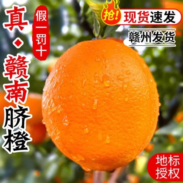 江西脐橙正宗赣南脐橙水嫩多汁赣州直发橙子非爱媛38号