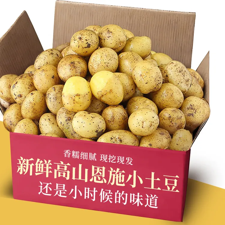 新鲜恩施高山黄心小土豆迷你5/9斤营养美味农家自种马铃薯洋芋
