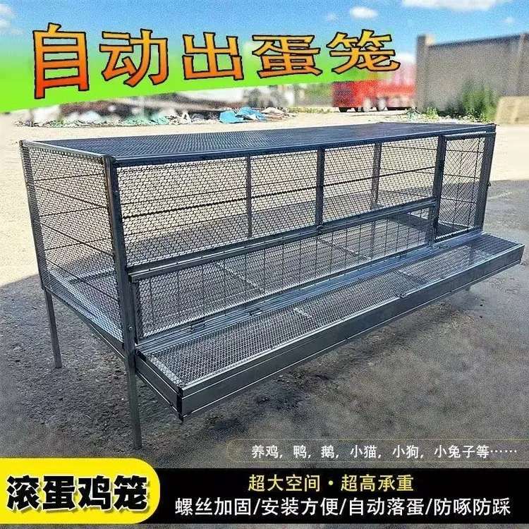 自动收蛋鸡笼鸡笼子家庭养鸡养殖鸡鸭鹅兔子养殖笼大号养殖笼