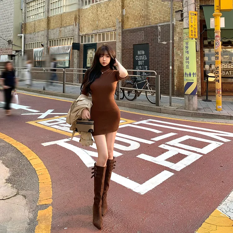 Liuu嘻嘻阿法式复古风高领外穿打底裙女秋季时尚高级中袖连衣裙子