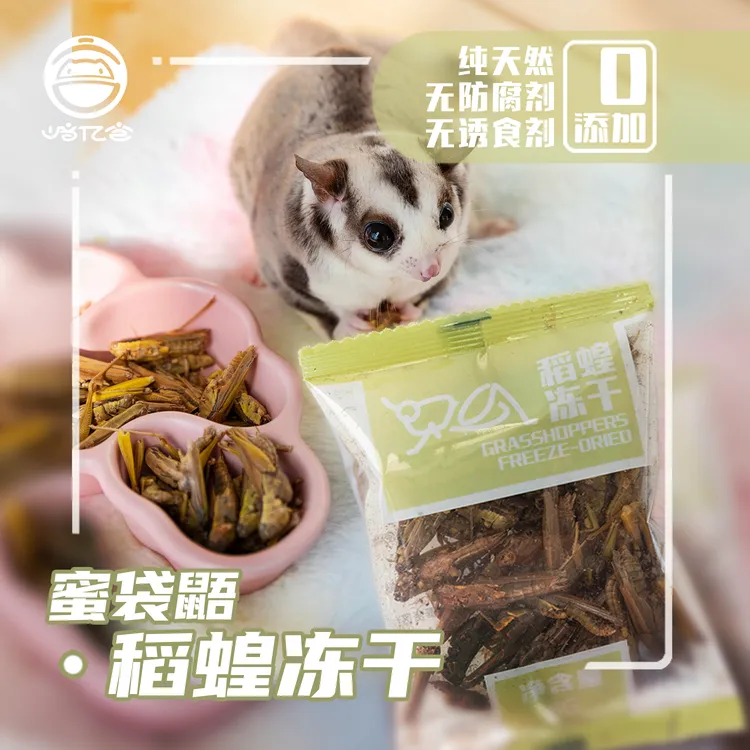 崎亿宫蜜袋鼯零食稻蝗虫冻干高卵磷脂蛋白增肥营养零食蜜袋鼬食品