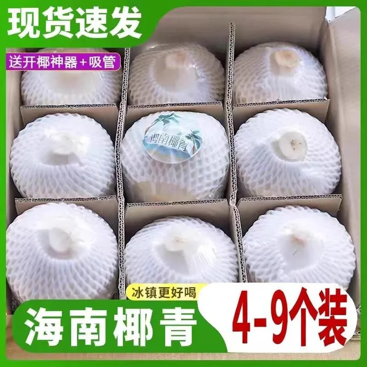 海南文昌椰青东郊椰林椰子的天堂天然营养孕妇补水水果新鲜现摘