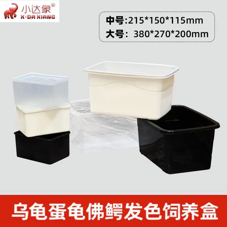 乌龟白色观背佛鳄黑色乌龟发色盒养龟苗孵化饲养盒隔离乌龟饲养盒