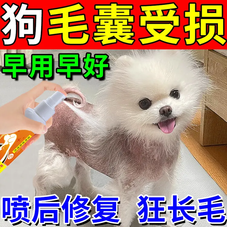 狗狗毛囊修复身上掉毛皮肤病毛囊炎受损掉脱毛止痒专用喷剂止痒