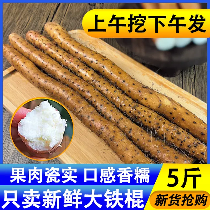 温县正宗铁棍山药口感软糯可煮粥的新鲜农家菜食补养胃产地直发