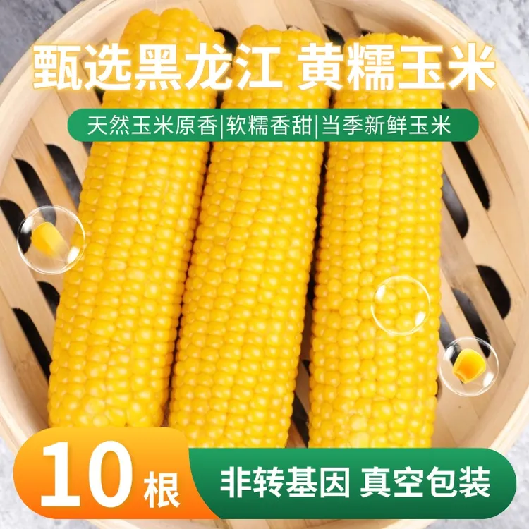 【试吃2根】糯千今东北黄糯玉米棒250g*10真空包装软糯香甜早餐粗粮