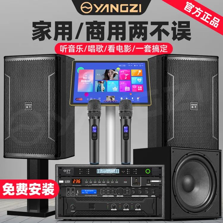 扬子家庭K歌音响套装12寸专业大功率别墅唱歌KTV音响电影K歌全套
