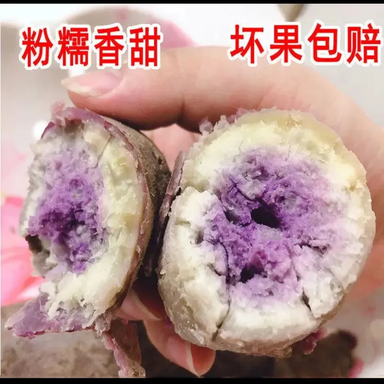 【冰淇淋红薯】高山  农家种植