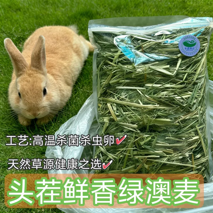 科学喂养头茬鲜香绿澳麦兔子龙猫荷兰猪主食青藏高原国产
