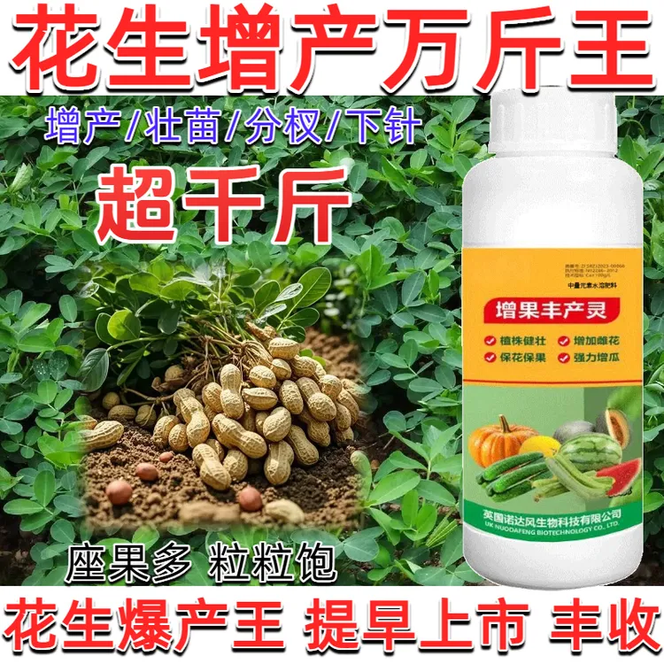 花生多收花生促蕾增雌花座果膨大拉直花生丰产叶面肥增粗增嫩
