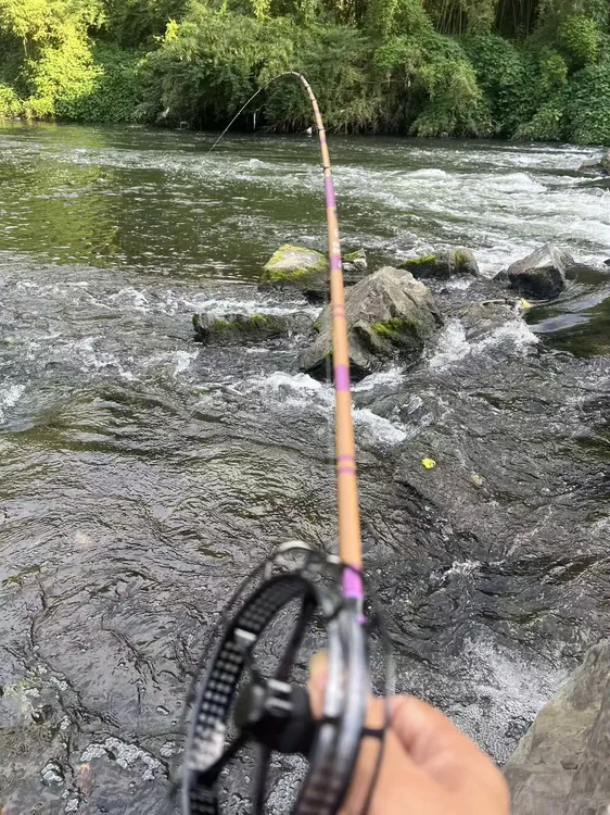 《本本三代》二八调性盘车竿腰力好手感舒适专业级钓鱼装备