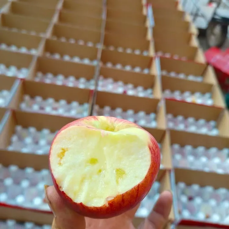 云南昭通红露丑苹果脆甜多汁新鲜现摘当季水果