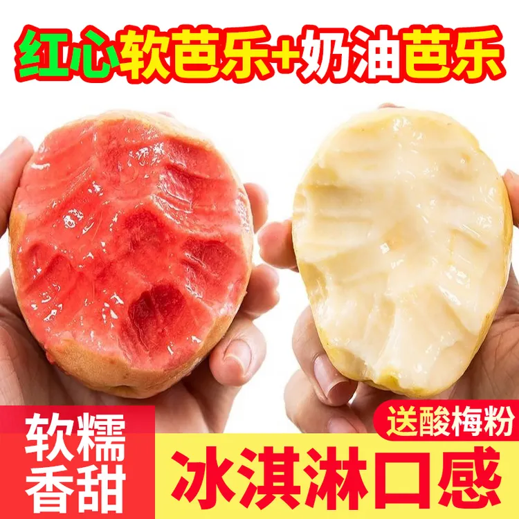 正宗广西软糯红白心芭乐新鲜水果番石榴脆甜软糯芭乐老树