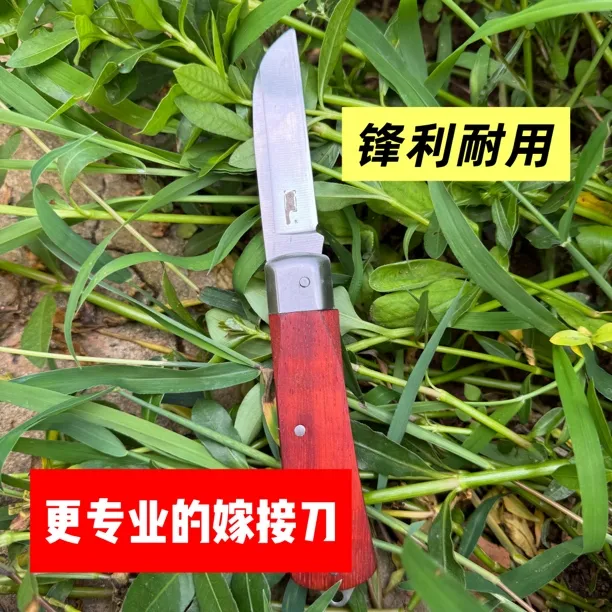 嫁接刀折叠刀果树花卉盆景金弹子嫁接刀园艺嫁接刀