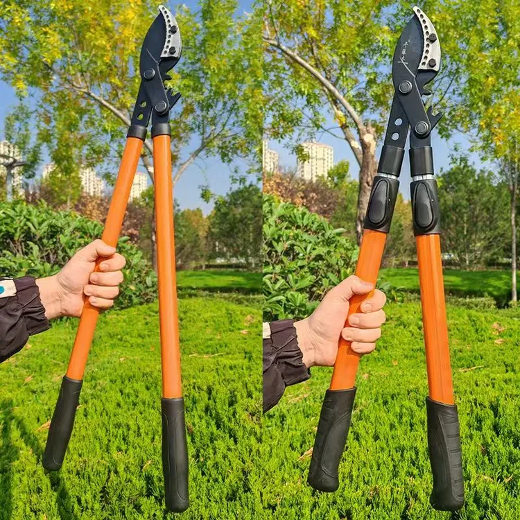 多功能强省力剪树枝专用剪子大力修枝剪园艺果树修剪刀树枝修剪