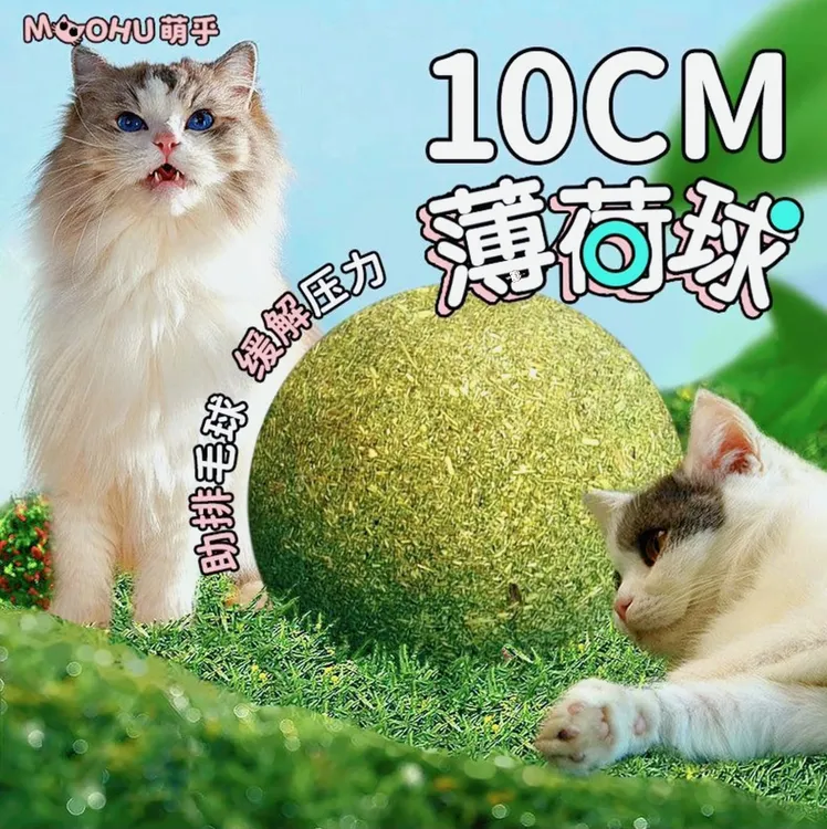猫玩具超大猫薄荷球猫猫逗猫棒磨牙洁齿发声玩具耐咬宠物玩具球