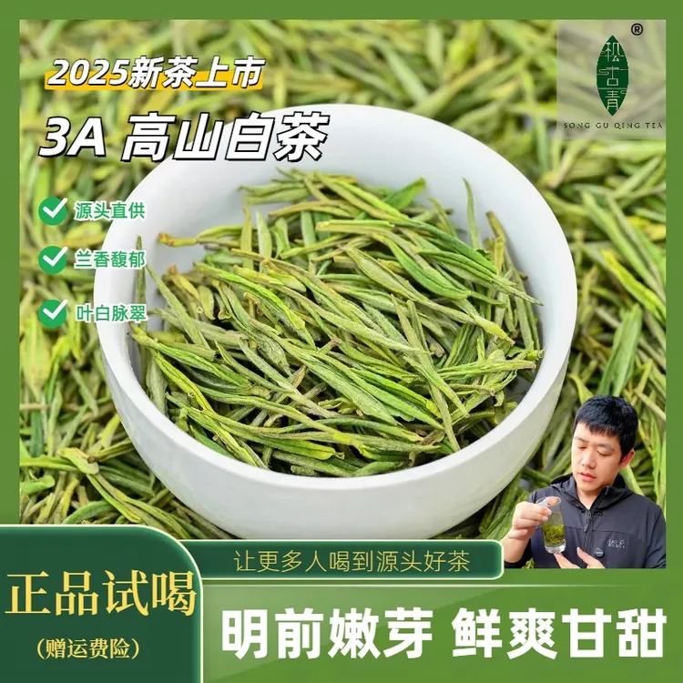 【2025新茶】3A款明前高山白茶毛峰 带兰花香鲜甜甘醇高性价比绿茶
