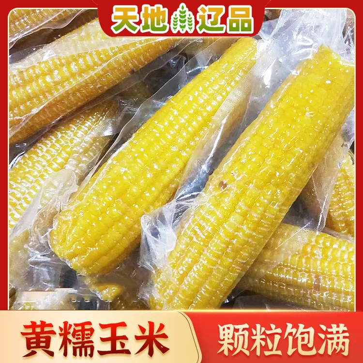 抚顺黄糯玉米一整箱8-10根真空包装软糯香甜粒粒饱满天地辽品