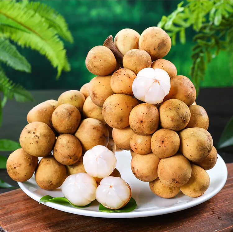【顺丰包邮】现货当季新鲜龙宫果鲜椰色香果龙贡果爱情果椰色果
