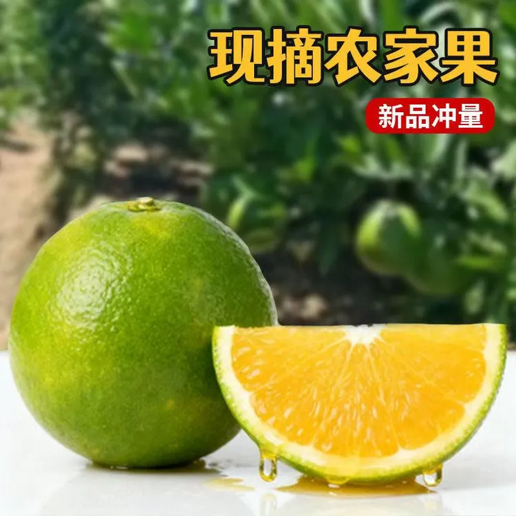 云南哀牢山冰糖橙现摘现发应季新鲜青皮橙子清甜爆