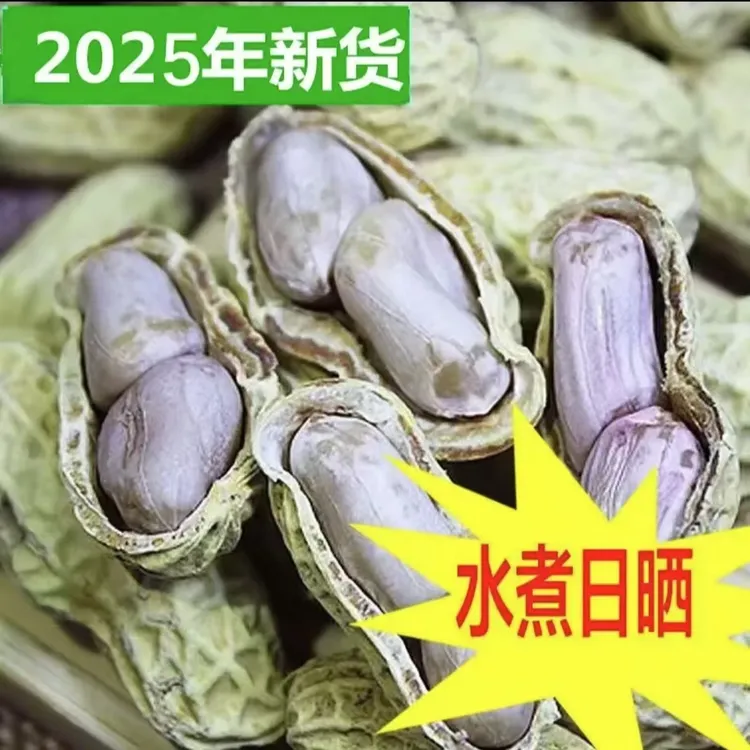 【25年新果软口】农家水煮日晒花生软口不脆有嚼劲带壳坚果零食精选