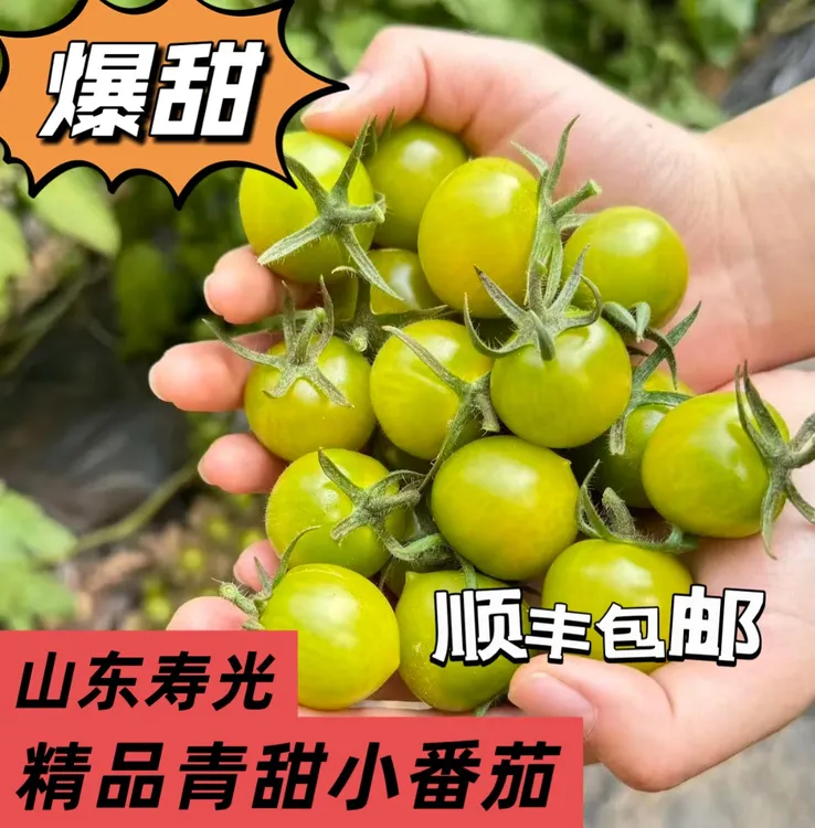 【顺丰包邮】寿光直发青甜二号小番茄新鲜多汁自然成熟绿色圣女果