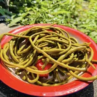 老家风味坛子菜腌豇豆长豆角下饭菜咸菜农家小菜