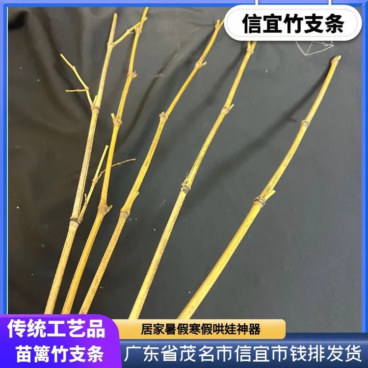 【纽抽编】信宜本地竹子竹枝条鞭子5条苗篱竹树枝