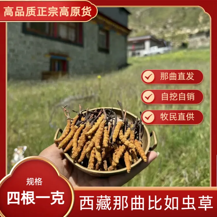 高海拔藏区正宗冬虫夏草干货4根一克 5克装