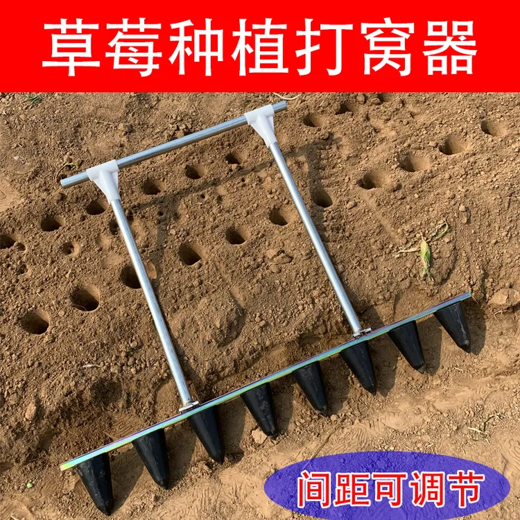 栽种草莓苗专用工具打孔器打洞器瓜果蔬菜栽苗定株距打坑打窝机