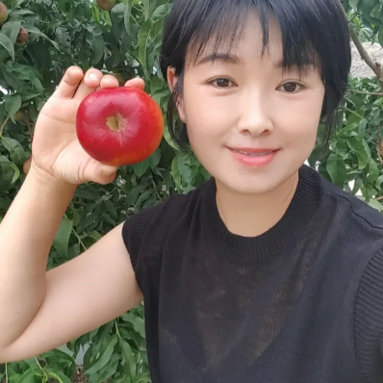 李萌农场黄肉油蟠桃现摘现发应季新鲜脆甜多汁消暑水果