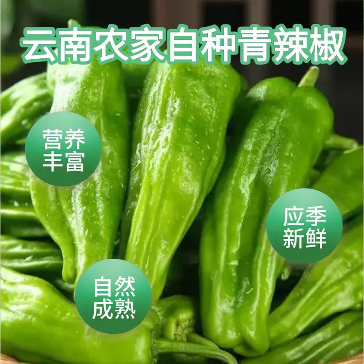 【现摘现发】青辣辣椒农家自种高原新鲜青椒虎皮尖椒应季蔬菜商品图