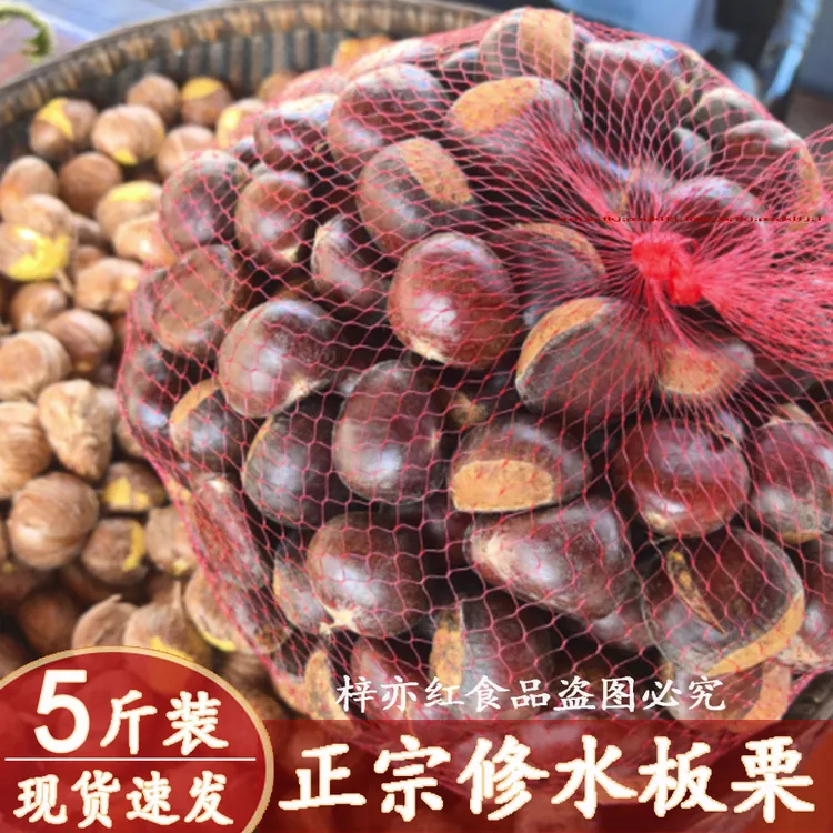 2025年新鲜生板栗产地直发野生毛板栗现摘现发无毛刺老树板栗5斤