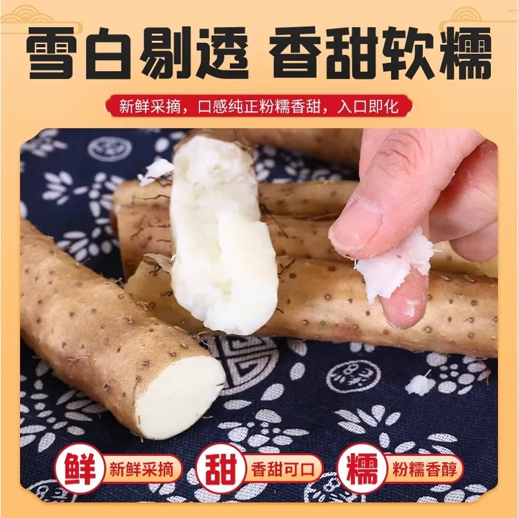 河北小白嘴铁棍山药新鲜蔬菜5斤山药