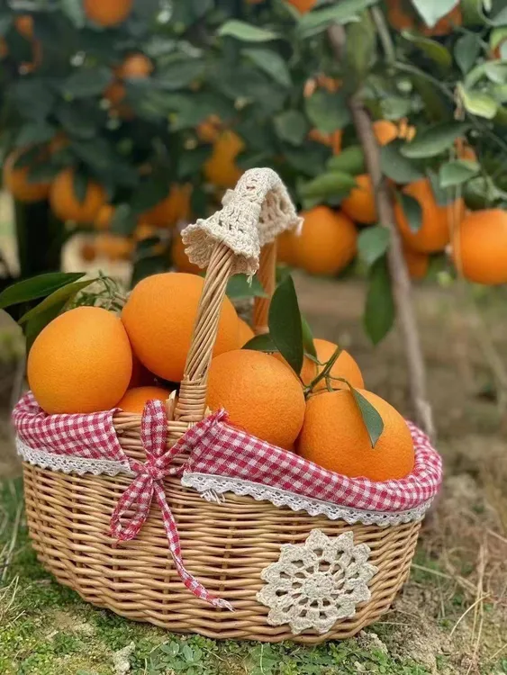 【新人福利】正宗赣南脐橙现摘现发不打蜡不催熟不打甜蜜蜜孕妇可吃