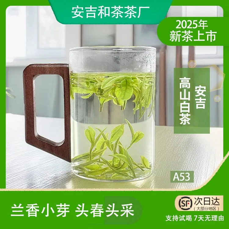 兰香小芽A53安吉高山白茶安吉新茶白茶茶礼送礼明前茶春茶+兰花香