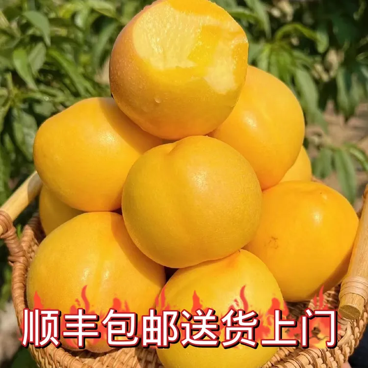 娘娘贡唐山遵化头茬黄桃脆甜多汁一桃两吃新鲜水果顺丰送货上门
