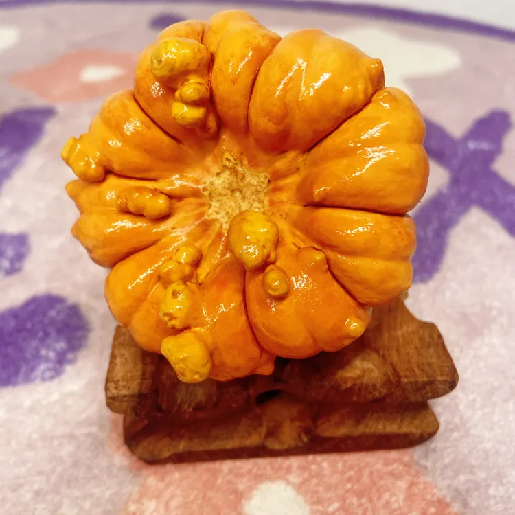 墨西哥七彩葫芦diy花束瑕疵干葫芦永久存放不含配饰