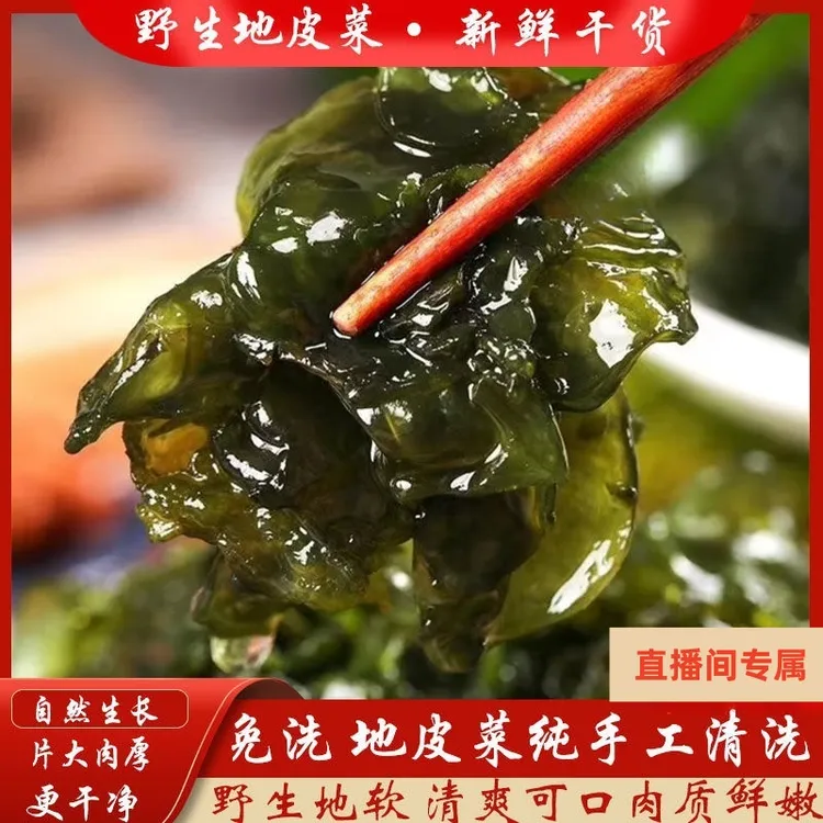 特产干货免洗地皮菜泡发率高地衣特产干货地软地木耳雷公菜地衣菜