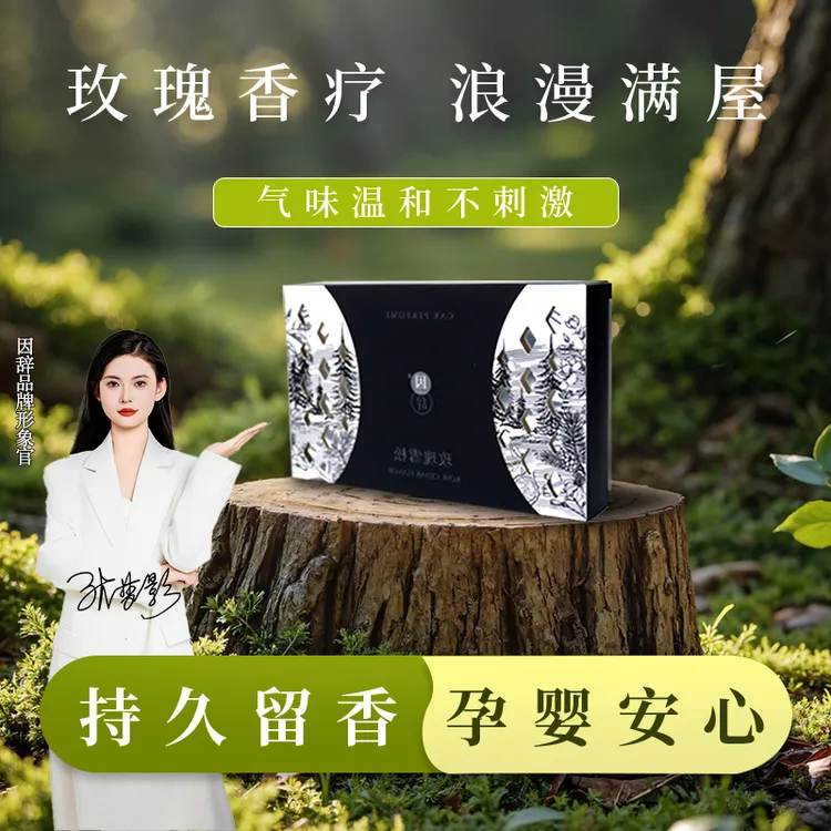 因辞香砖车载香薰家居香膏隐藏式植物香味淡淡香除异味持久大容量